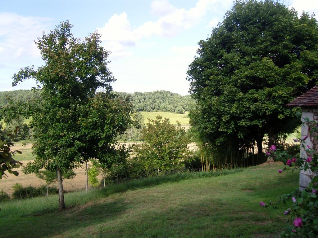 Gîte De Serre Le Grand-Pressigny Cameră foto