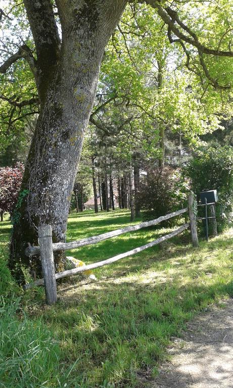 Gîte De Serre Le Grand-Pressigny Exterior foto